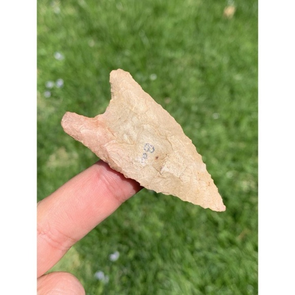2 5/8 Inch Authentic Ancient Paleo Quad Arrowhead From‎ Lauderdale Co Alabama